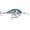Blue Shad, variant on Rapala Dives-To Crankbait 12 Live River Shad
