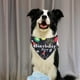thumbnail image 3 of Ropa para perros, traje Tang, ropa para mascotas, ropa de Año Nuevo, ropa para perros color café para Año Nuevo, ropa para perros con bordados únicos 2157, 3 of 5