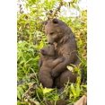 thumbnail image 1 of Estatua de madre y bebé oso de Sculpture Hi-Line Gift Ltd., 1 of 7