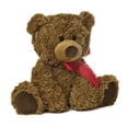thumbnail image 3 of Aurora - Osito Marrón Medio - Coco Bear de 10,5" - Peluche Cómodo, 3 of 4