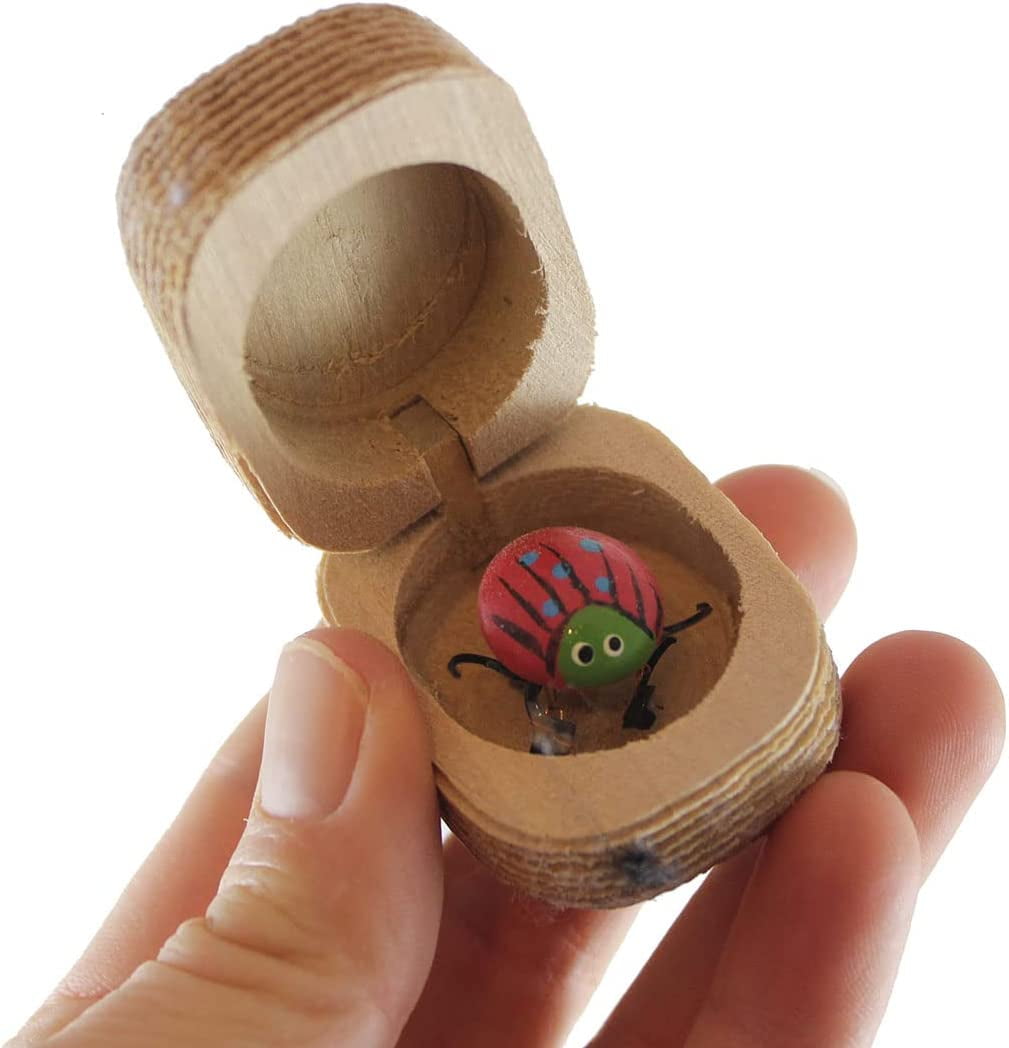 Bug in wooden box toy deals