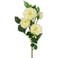thumbnail image 4 of Northlight Real Touch™ White Artificial Camellia Rose Floral Sprays, Set of 6 - 23", 4 of 9