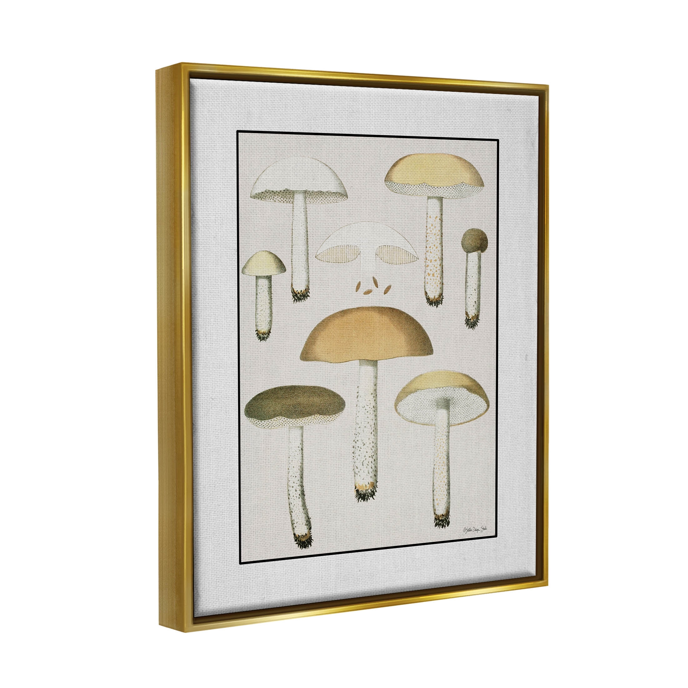 Various Mushrooms Forest Plant Botanical & Floral Graphic Art Metallic Gold Framed Art Print Wall Art