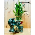 thumbnail image 6 of Jumbo Ceramic Lucky Bamboo Elephant, 6 of 7