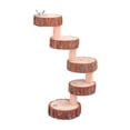 thumbnail image 4 of GOOHOCHY Pet Ramp Wood Springboard Gym Crawling Ladder Natural Wood Design 1Pcs, 4 of 8