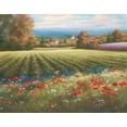 thumbnail image 2 of Unknown 18x15 Black Ornate Wood Framed with Double Matting Museum Art Print Titled - Fields of Provence I, 2 of 4