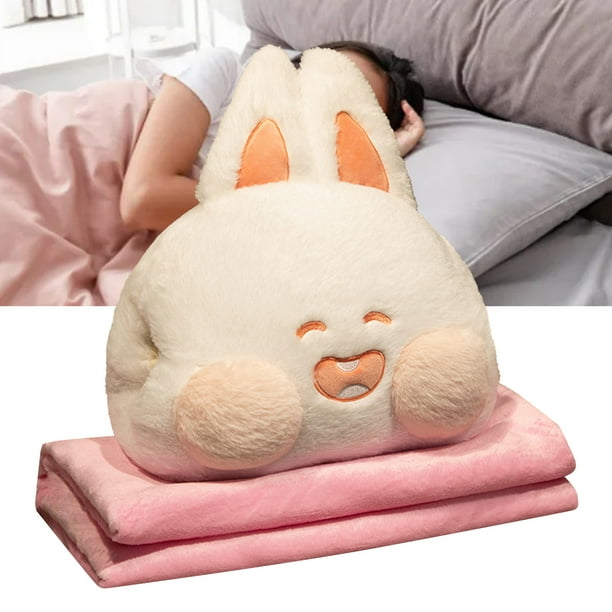 Blanket pillow set hotsell