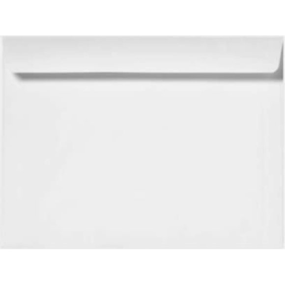 500 Cashier Depot Enveloppes pour Livret 10 Pouces x 13 Pouces (Côté Ouvert), Blanc Lourd de Qualité Supérieure 28 Lb, 500 Enveloppes