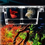 Aquarium Hatching Incubators Large Space Double Layer Transparent Plastic Fish Tank Breeding Isolation Box