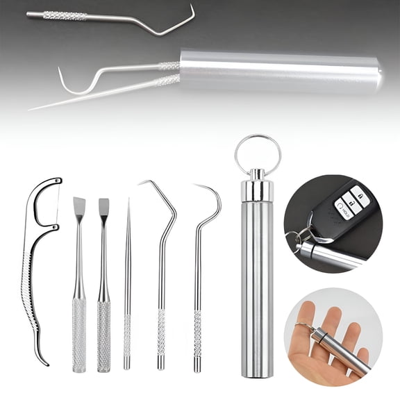 RAGUPEL 2 Packs Dental Floss&Dental Picks,6 Pcs Stainless Teeth Cleaning Tool Set Reusable Toothpick Set With Storage Box Metal Toothpicks Calculus Oral Care Cleaning Tools