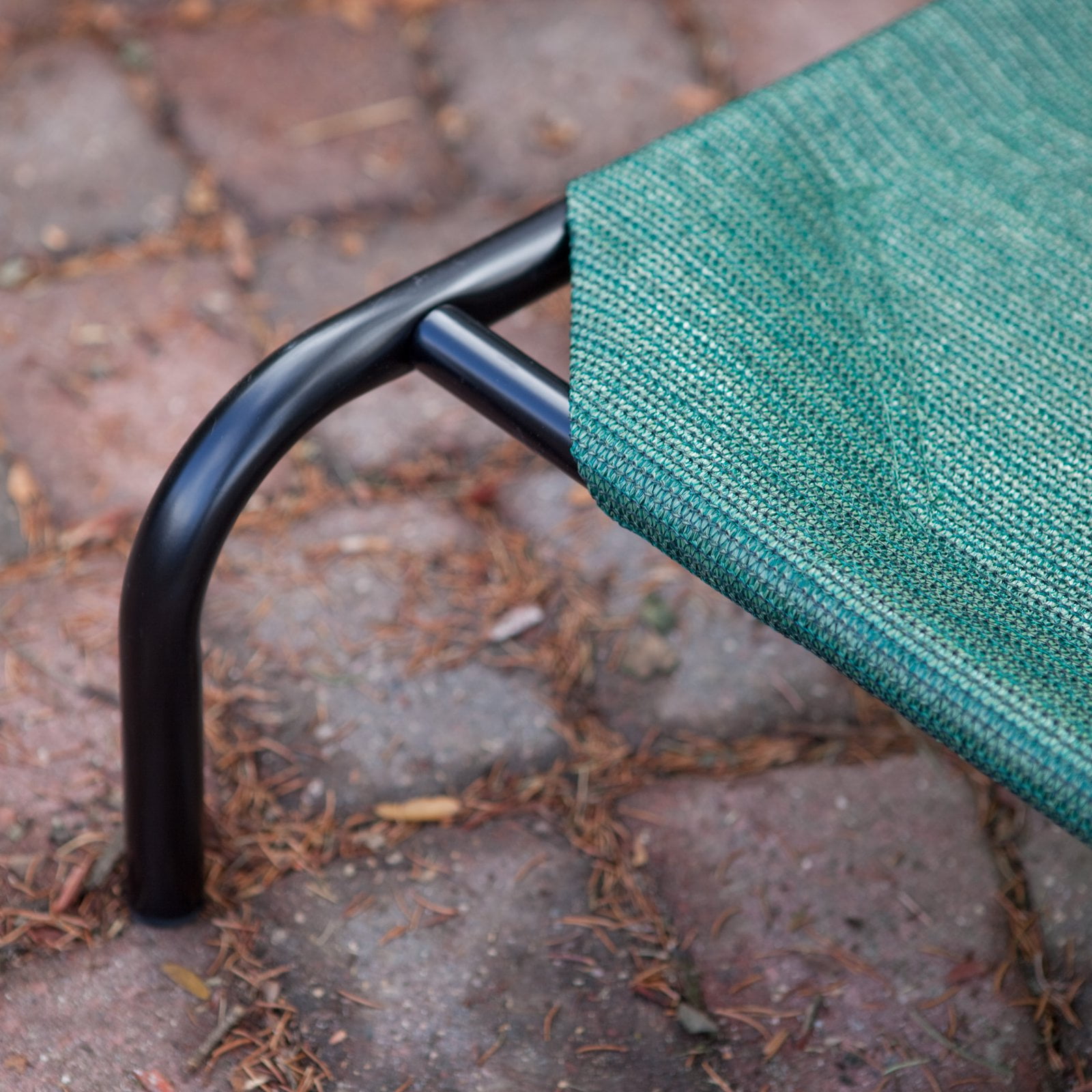 The Original Coolaroo Elevated Pet Bed for Indoors & Outdoors, Large, Brunswick Green