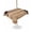 Brown, variant on Outdoor Tablecloth with Umbrella Hole for Patio/Picnic/Party/Camping, Black Animal Claws Waterproof Table Cloth Rectangle Table Cover Washable, Vintage Minimalist Linen Brown (60"x 84")