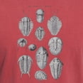thumbnail image 3 of CafePress - TRILOBITES Men's Comfort Colors® T Shirt - Mens Comfort Colors Shirt, 3 of 5