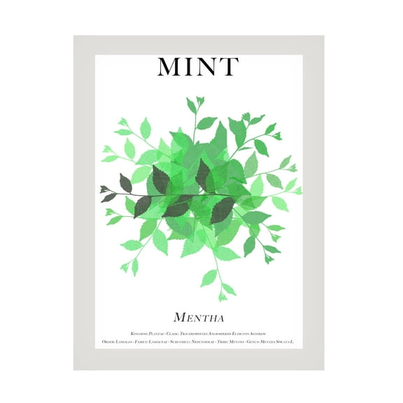 Trademark Fine Art Cartissi Mint Canvas Wall Art