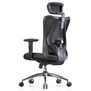 Sihoo M18 Ergonomic High-Back Mesh Office Chair, Black