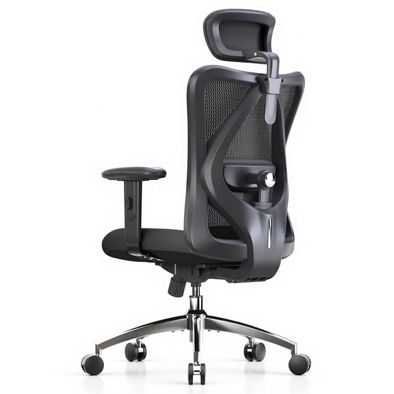 SIHOO M18 Mesh Ergonomic Office Chair with Adjustable Lumbar Support, High Back, Black