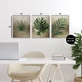 thumbnail image 3 of Stupell Industries Rustic Earthy Tropical Leaves 3 Piece Canvas Wall Art Set design by Anna Lischenko, 20 x 16, 3 of 7