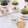 thumbnail image 5 of Hiroekza Garden Spring Decor Funny Unique Succulent Pots Ceramic Fleshy Flowerpot Tray Indoor Desktop Bonsai Decoration 2 Optional Clearance, 5 of 9