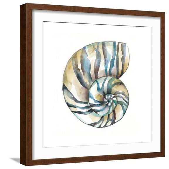 Art.com Aquarelle Shells II Art Print by Chariklia Zarris, Brown Frame Wall Art, 21" x 21"