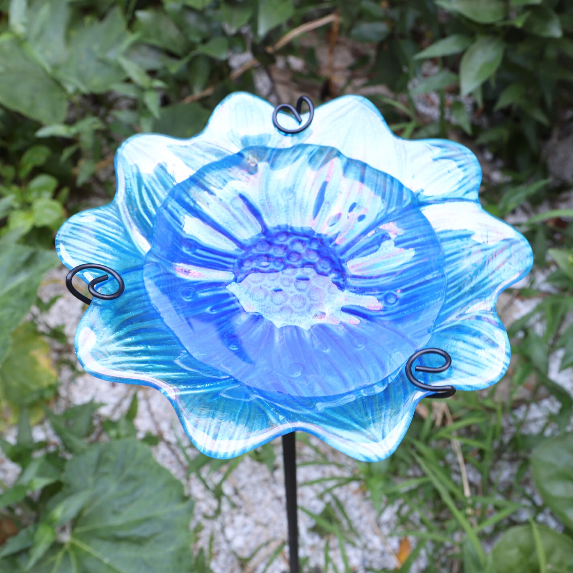 Buy AnnaStore Bird Baths for Outdoors Glass Birdbath Small Bird Bath