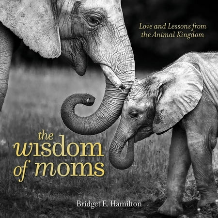 The Wisdom of Moms : Love and Lessons From the Animal (Best Moms In The Animal Kingdom)