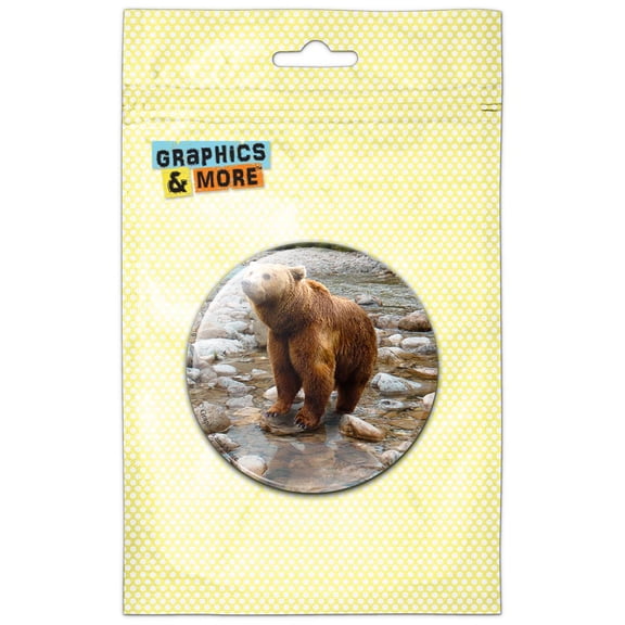 Bear in Stream Pinback Button Pin Badge