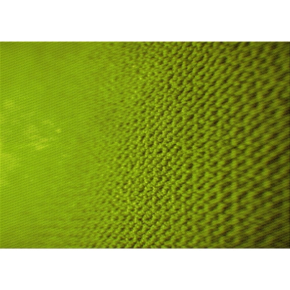 Ahgly Company Indoor Rectangle Patterned Pistachio Green Area Rugs, 3' x 5'