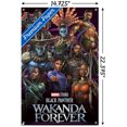 thumbnail image 5 of Marvel Black Panther : Wakanda Forever - Groupe, 5 of 5