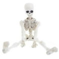 thumbnail image 1 of 9CM Halloween Movable Skeleton Human Model Skull Full Scary Figure Toy Body S5R7, 1 of 1