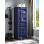 Acme Cargo Container Style Metal Wardrobe with 1 Door, Multiple Color