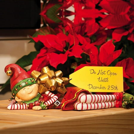 Christmas Elves, Do Not Open