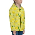 thumbnail image 5 of Kdxio Bright Lemons Pattern Kids Boys Girls Zip Up Hoodie 3D Printed Hooded Sweatshirt Hoody Coat with Pocket 7-12 Y-Small, 5 of 6
