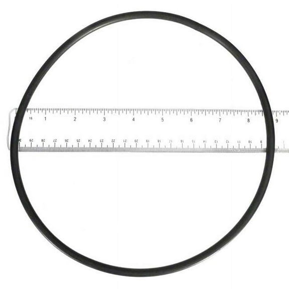 Seal Plate O-Ring Sta-Rite