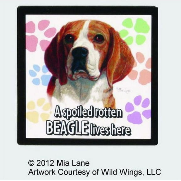 A spoiled rotten Beagle lives here Magnet
