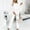 White, variant on Dgankt Workout Sets for Women Fall and Winter Casual Solid Color Fashionable Raglan Top and Pants Set Suit,Size S-3XL