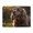 500 Pieces, variant on 500-Piece Wooden Jigsaw Puzzle for Adults - Happy Dog Golden Hour , Challenging Family Art Project, Unique Home Wall Decor Gift