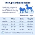 thumbnail image 6 of Petsafe Easy Walk No Pull Harness Black Large, 6 of 7
