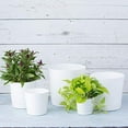 thumbnail image 4 of Root & Vessel Majestic Full Depth Cylinder Planter, White, 8", 4 of 5