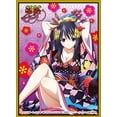 thumbnail image 1 of Chara Sleeve Collection Mat Series [High School DxD BorN] Akeno Himejima (No.MT212), 1 of 1