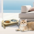thumbnail image 6 of oshhnii Cat Bowl Stainless Steel Elevated Portable Food and Water Pet Bowls double bowl, 6 of 9
