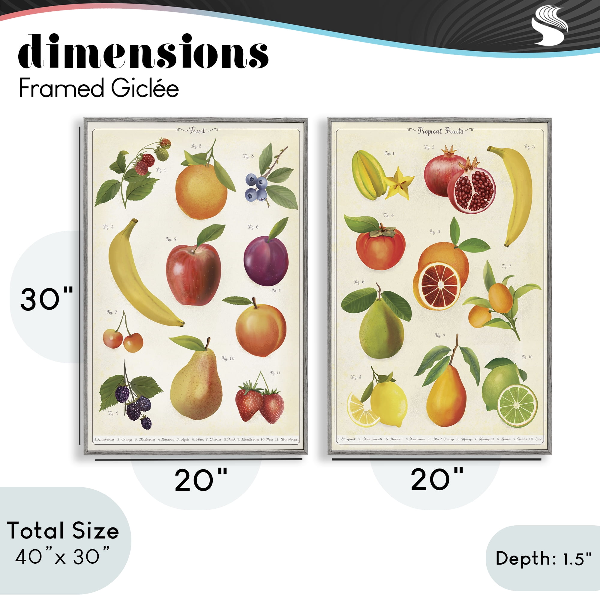 Stupell Industries Kitchen Studies Fruit 2 Piece Gray Framed Giclee Art Set, design by Diane Neukirch