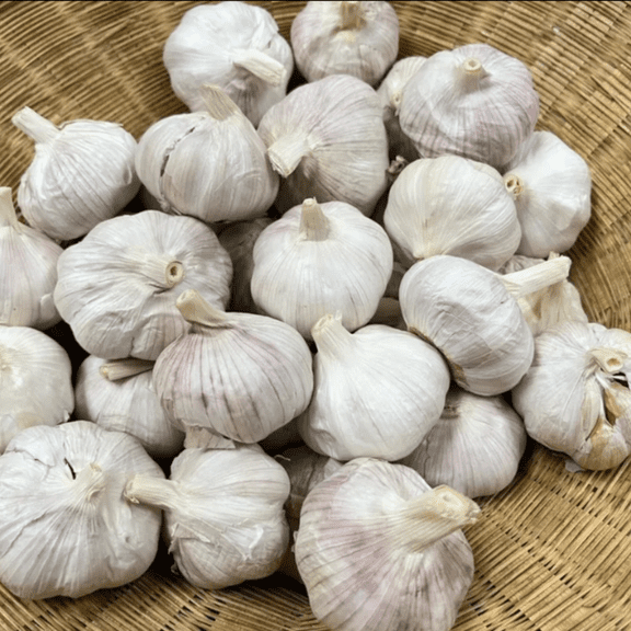 4 Bulbs Mix Garlic for Planting, Assorted Varieties for Home Garden Growing