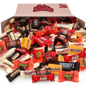 Palmer® Large Family Assorted Christmas Chocolate Candy Mix