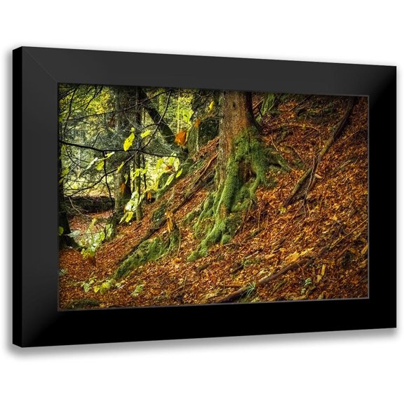 Murdock, Ramona 14x11 Black Modern Framed Museum Art Print Titled - Ancient Trees