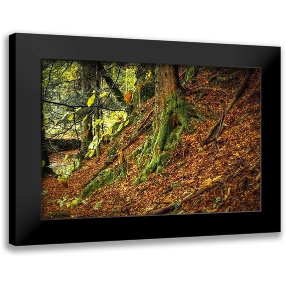 Murdock, Ramona 14x11 Black Modern Framed Museum Art Print Titled - Ancient Trees