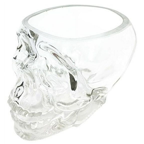 Skeleton Skull Glass Bowl Drink Stationery Office Holder Figurine Collectible