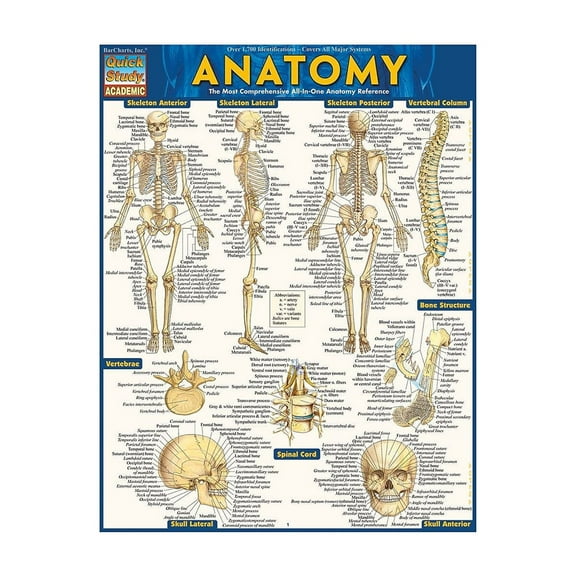 BarCharts Inc. QuickStudy Nursing Reference Set (9781423230380)