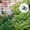 🔥 C_New#9184, variant on Steel Garden Weeding Tool | Manual Weed Remover | Multi-Functional Hand Weeder with Ergonomic Handle | Digging, Prying, Removal for Thistles, Dandelions, Crabgrass | Durable Non-Stick | 1 Piece