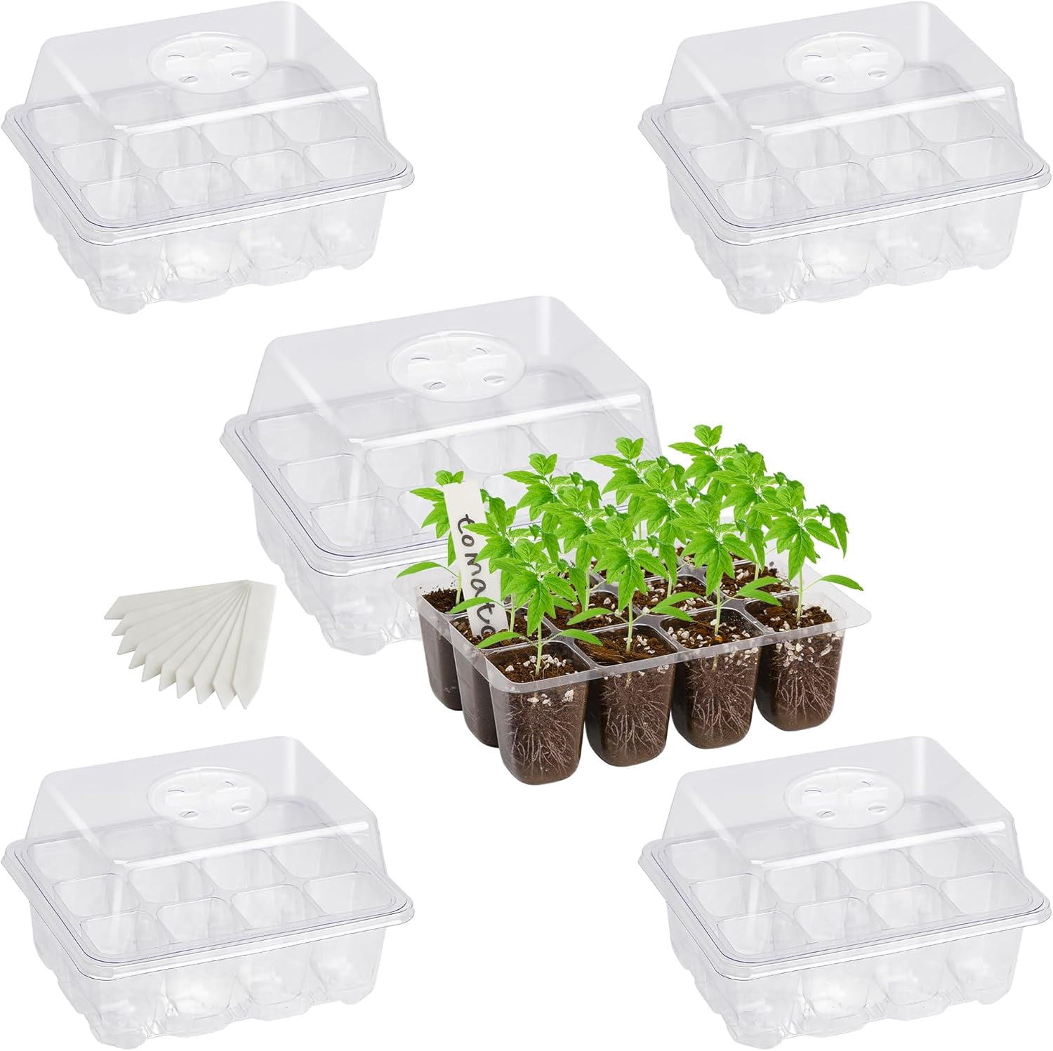 RGHJAR-5-Pack Seed Starter Trays for Indoor Germination – Humidity Dome to Regulate Temperature & Humidity, Clear Tray for Root Observation, Drain Holes to Prevent Overwatering (5 Packs, Clear)