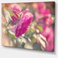 thumbnail image 2 of Beautiful Pink Rose Flowers - Floral Canvas Art Print, 2 of 3